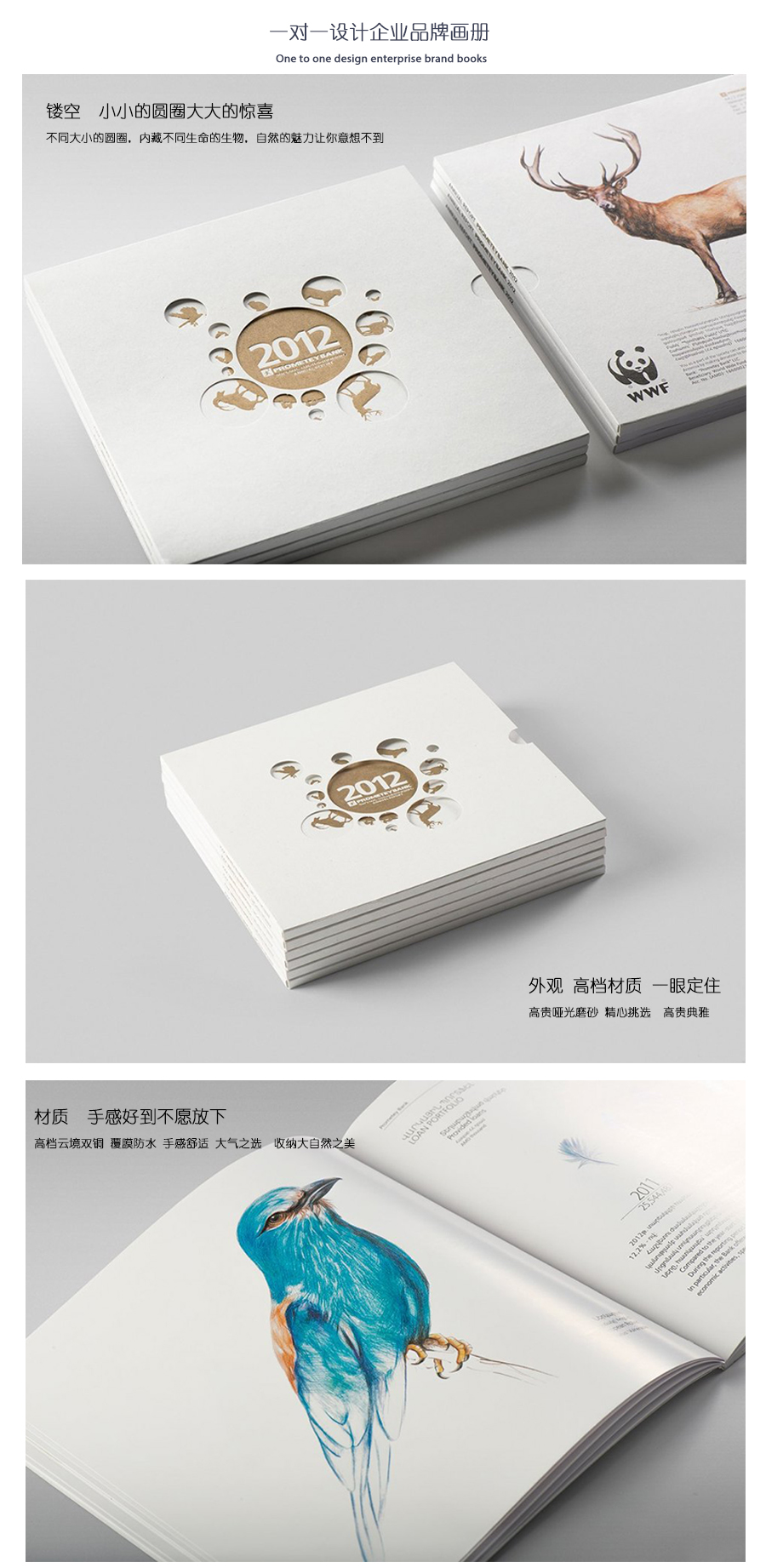 精美生物畫冊、精裝畫冊